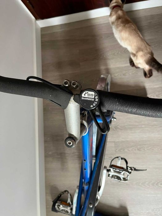 Bicicleta de spinning azul