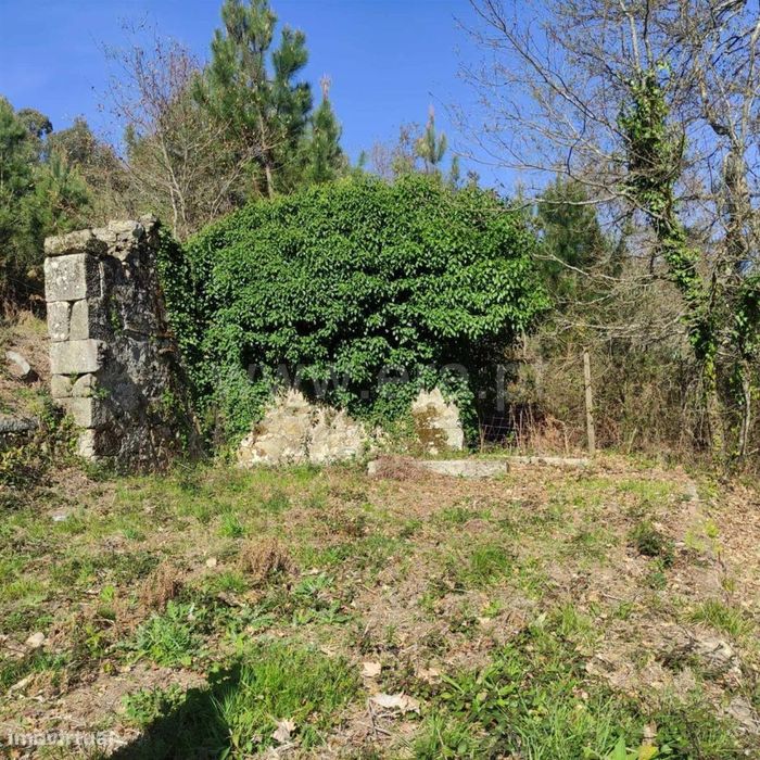 Quinta em Arnóia - Celorico de Basto