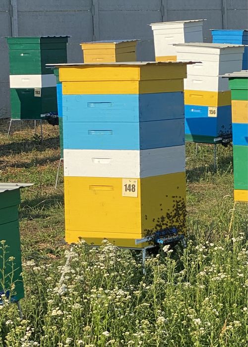 Вулики для бджіл в шип, вулик в шип