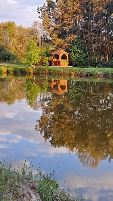 Domek nad stawem 2
