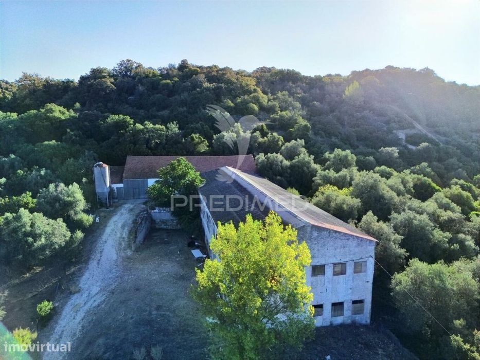 Oportunidade Única de Negócio - Aviário em Almajões, Santarém