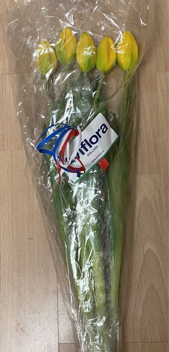 Tulipany sztuczne kwiaty Aviflora Holandia 5 szt.