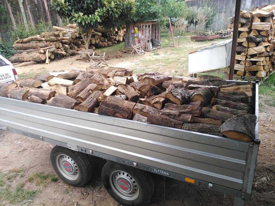 Lenha seca rachada Eucalipto Carvalho e Austrália