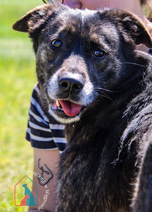 Kila 79/24 - SZUKA DOMU!