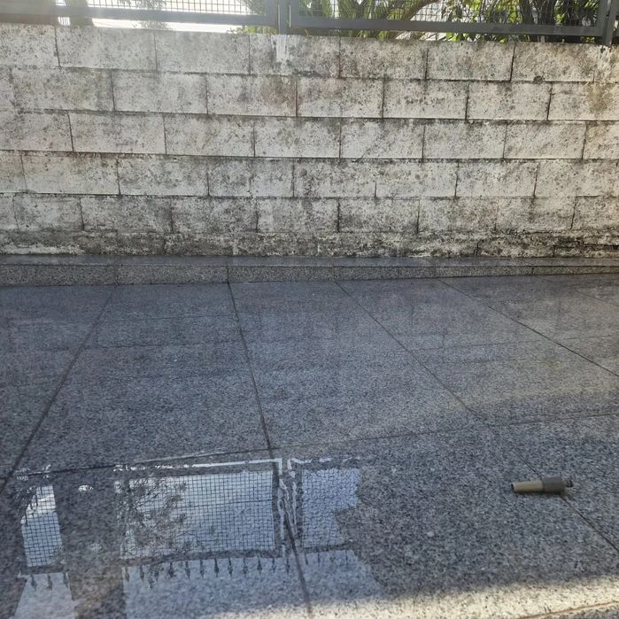 Limpeza de muros e paredes