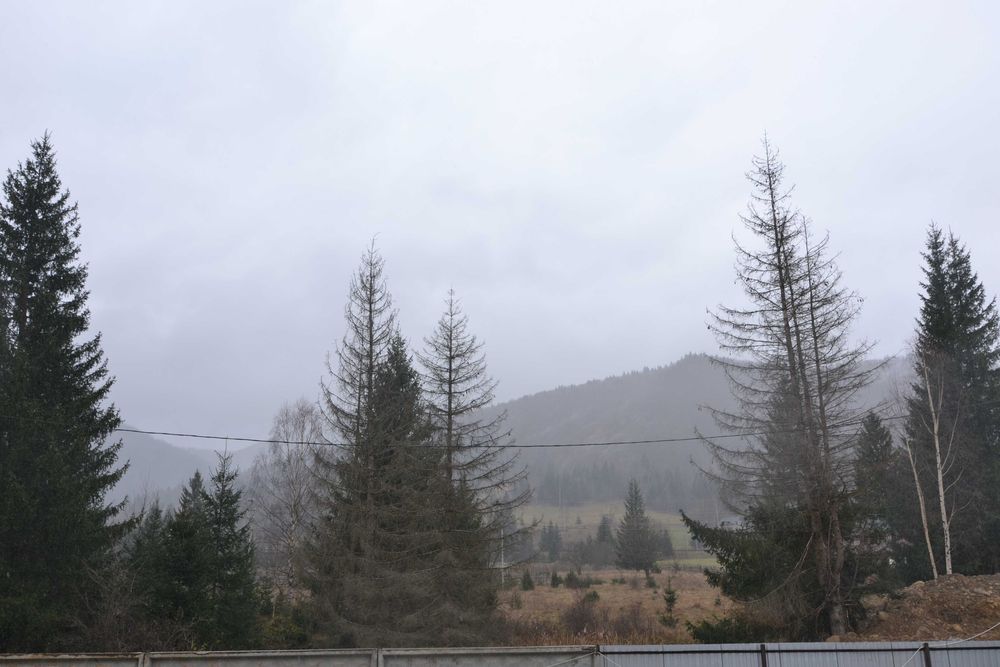 Продається Котедж на 17 номерів. Вигідна інвестиція в Карпатах.(63)