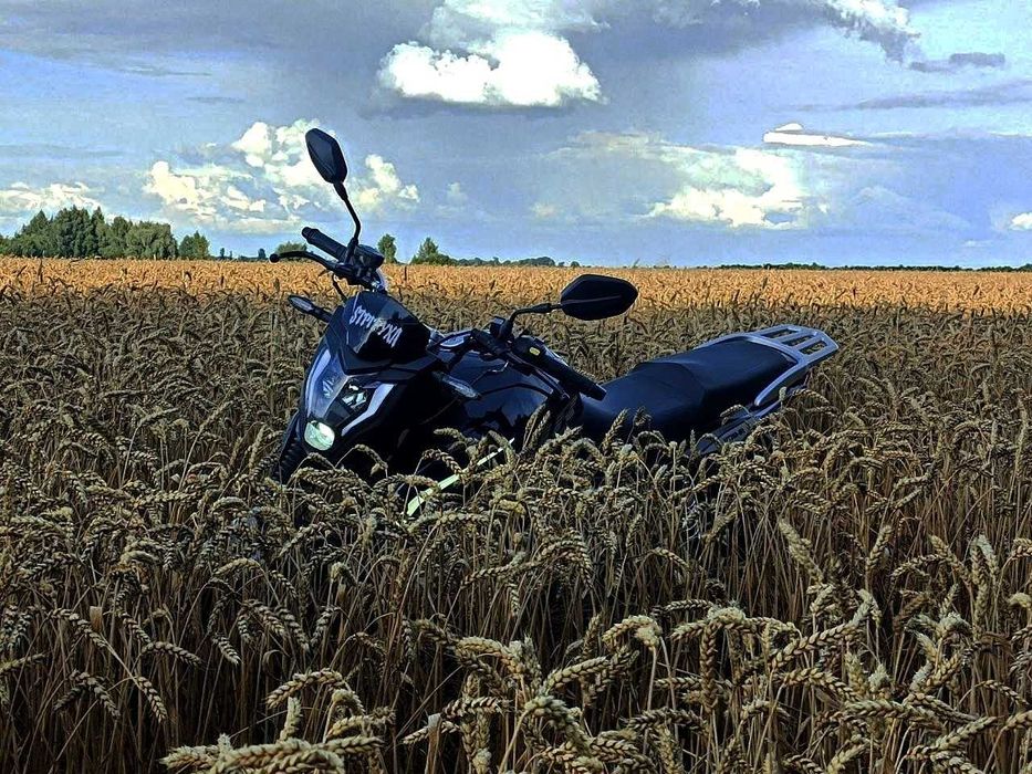 Мустанг регион 250