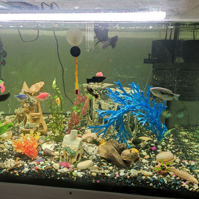 Продам аквариум на 450 литров