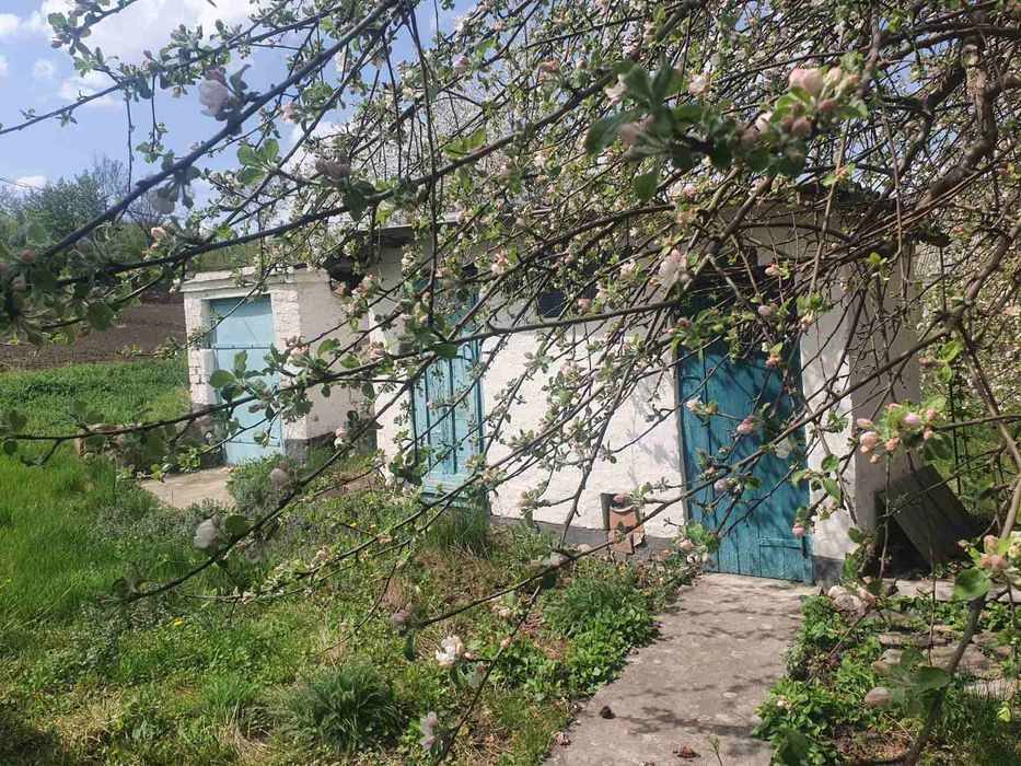 Будинок  70 кв.м, смт Буки, біля Буцького каньону, земля 48 соток, Черкаська обл., Уманський р,н