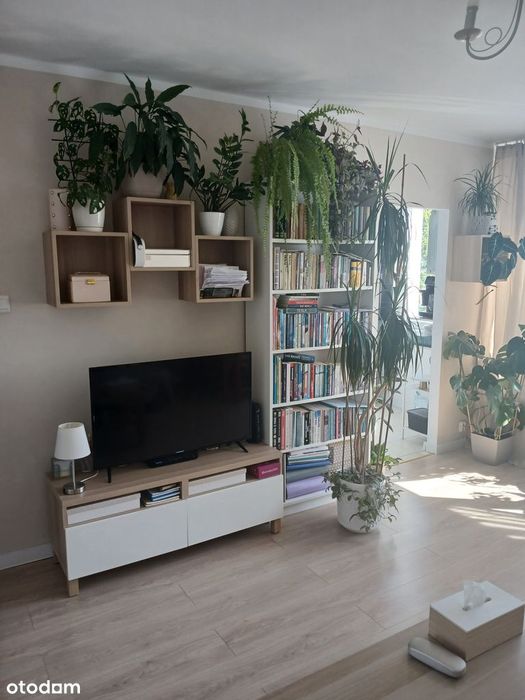 1-pokojowe mieszkanie po generalnym remoncie | Metro Bródno | 28 m² | - Widok 3