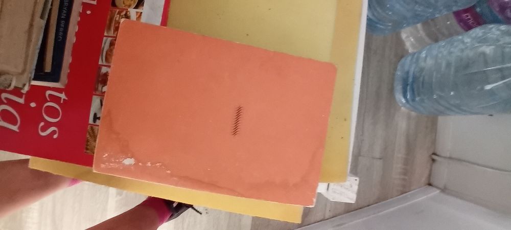 Livro A Tragédia da rua das flores de Eça de Quiróz