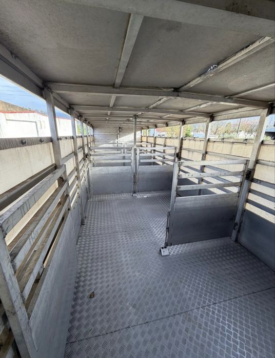 Iveco Transporte de Animais