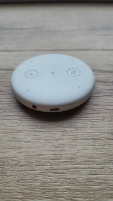 Amazon Echo Input (Alexa)442586332933007362