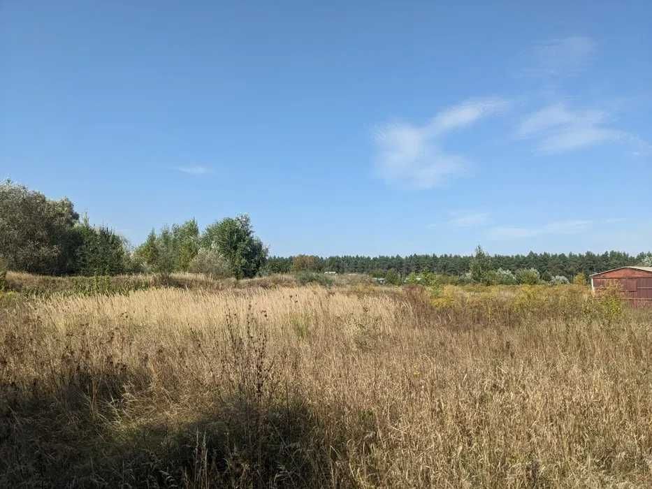 Ідеальна ділянка під сонячну електростанцію або еко-будинок. Без комісії!