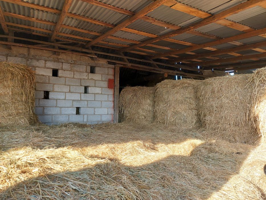 Siano baloty 2025 transport