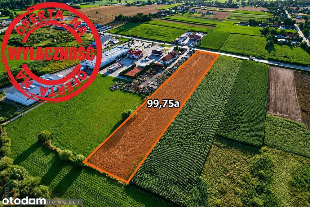 Działka na sprzedaż, Proszowice (gw) - Widok 3