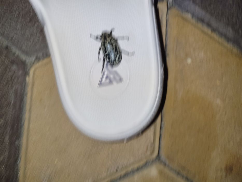 Продам мармурового хруща