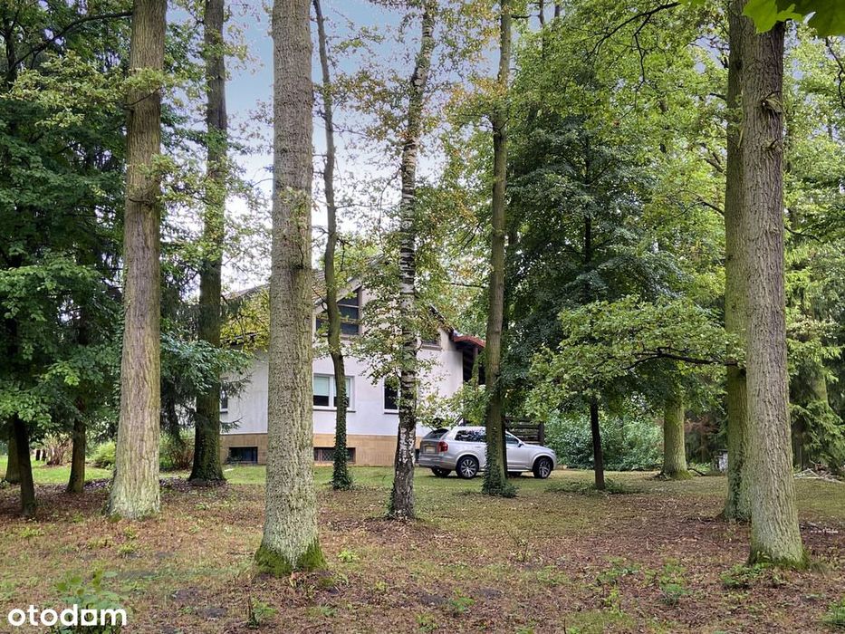 Dom z potencjałem w lesie