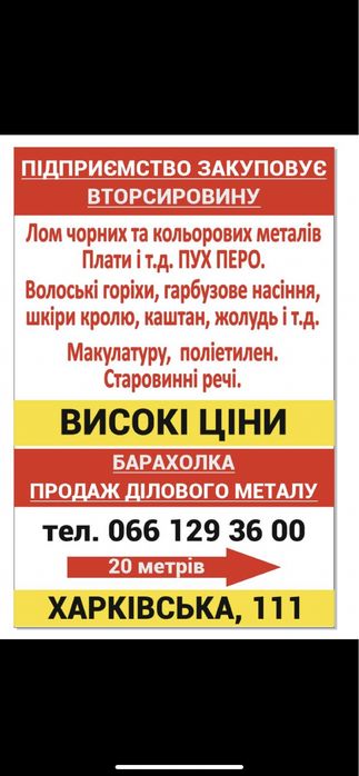 Шиповник шипшина