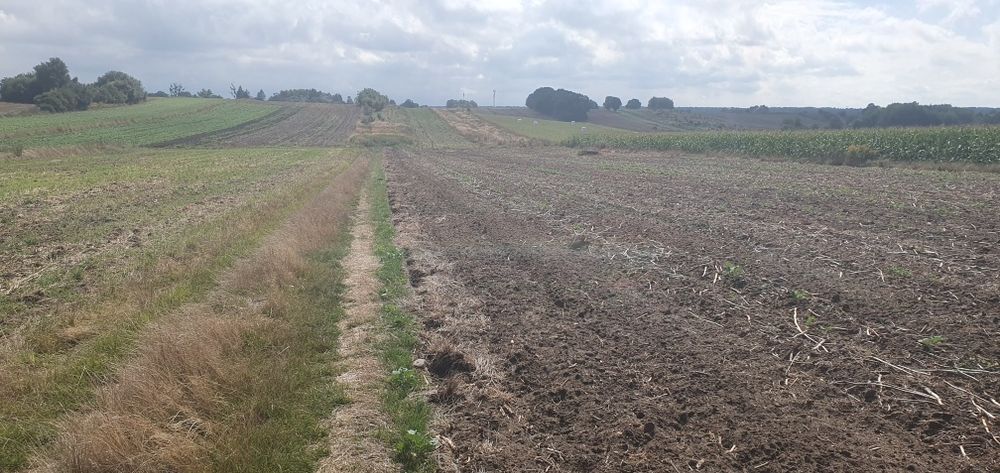 Działkę budowlaną sprzedam właściciel.