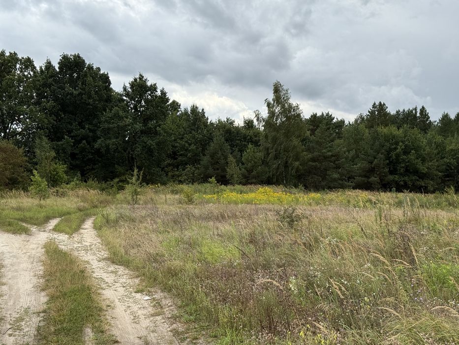 Богданівка, продаж ділянки 6сот. асфальт, ліс