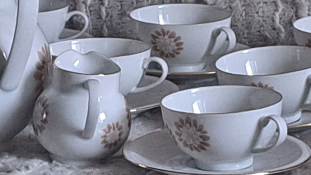 Serwis porcelanowy Arzberg