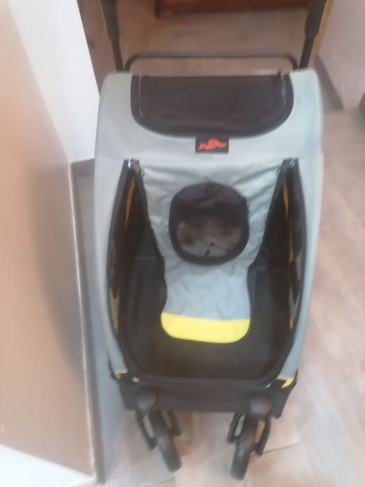 Carro de passeio para cães e gatos