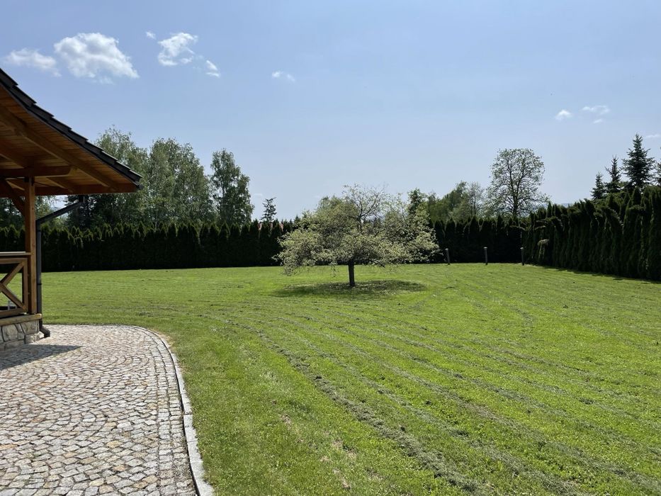 Koszenie, karczowanie, wertykulacja oraz inne usługi ogrodnicze