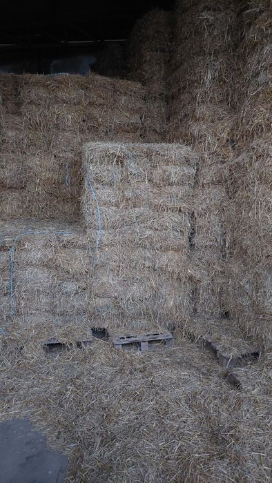 Fardos Palha de Cevada