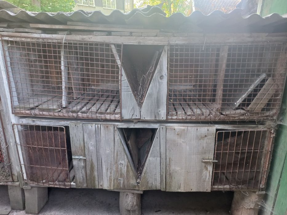 Клітка для кролів