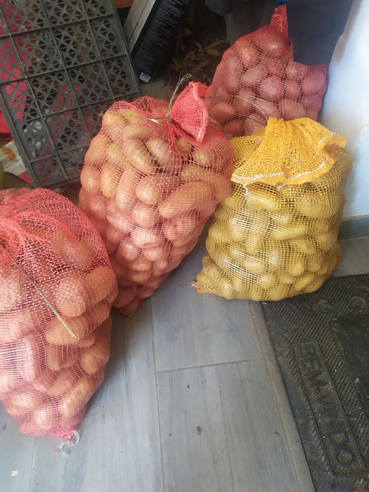 Batatas Biológicas 10 quilos  10 euros