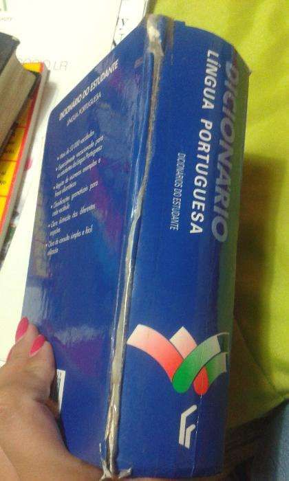 Dicionário Língua Portuguesa