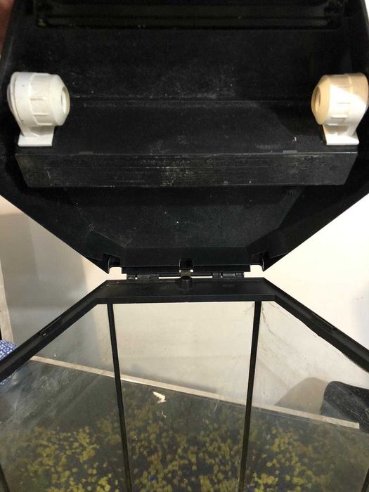 Vendo aquário, tem por volta de 25 litros!!