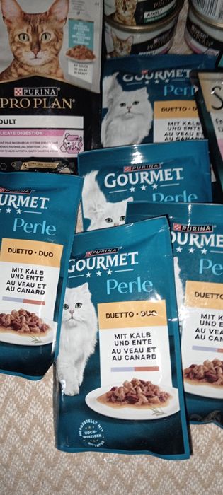 корм вологий для котів