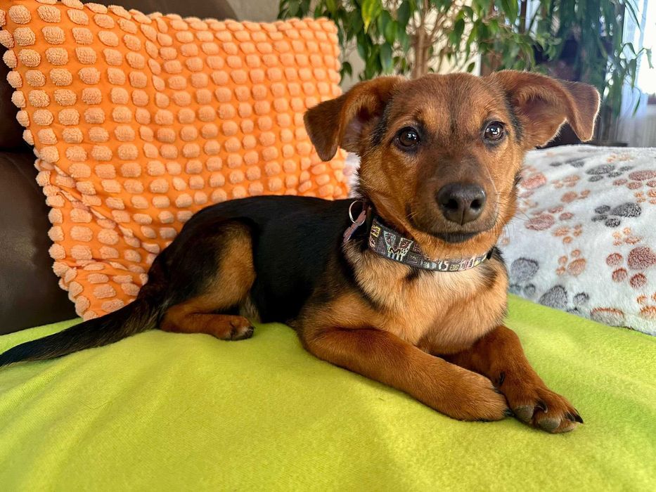 Urocza Zonia czeka na rodzinkę!