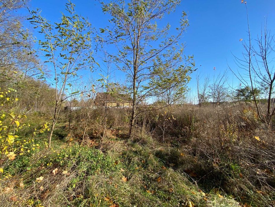 Продається земельна ділянка в Бохониках