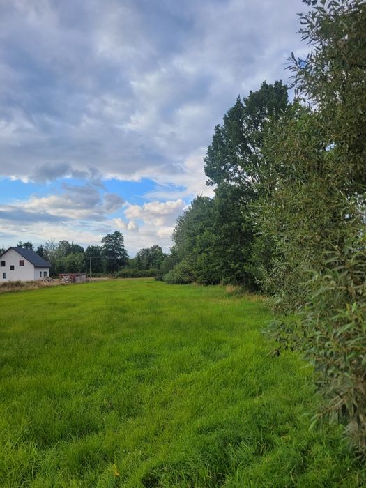Działka Węgrów ul. Pogodna - View 3