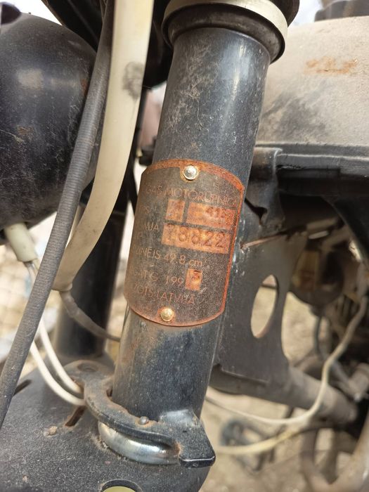 Карпати в рідній краскі