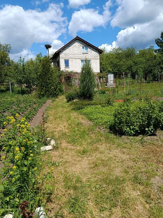 Продам будинок з земельною ділянкою ст Рябіна, с. Ст. Безрадичі
