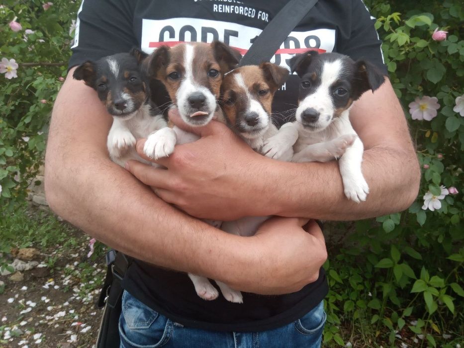 Супер  фиксики )