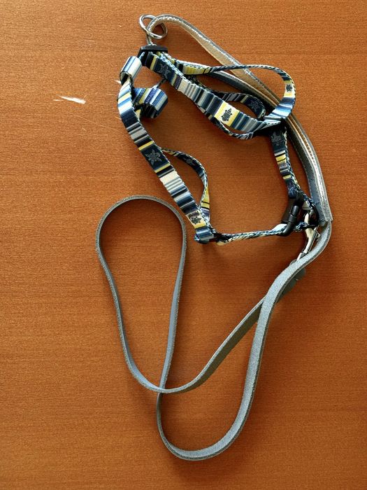 Новий повідок waudog для собаки чи кота  ( пояс-шлея )