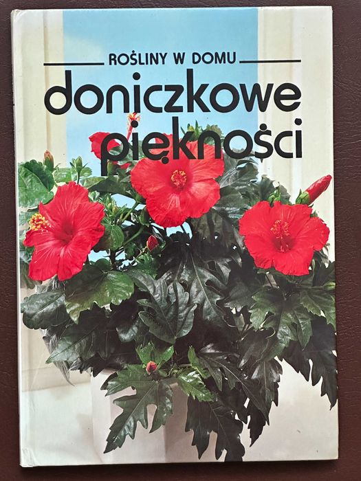 Doniczkowe piękności