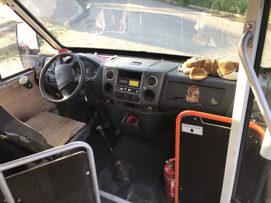 Рута в ідеальному стані