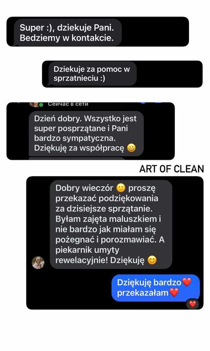 Sprzątanie po wynajmie