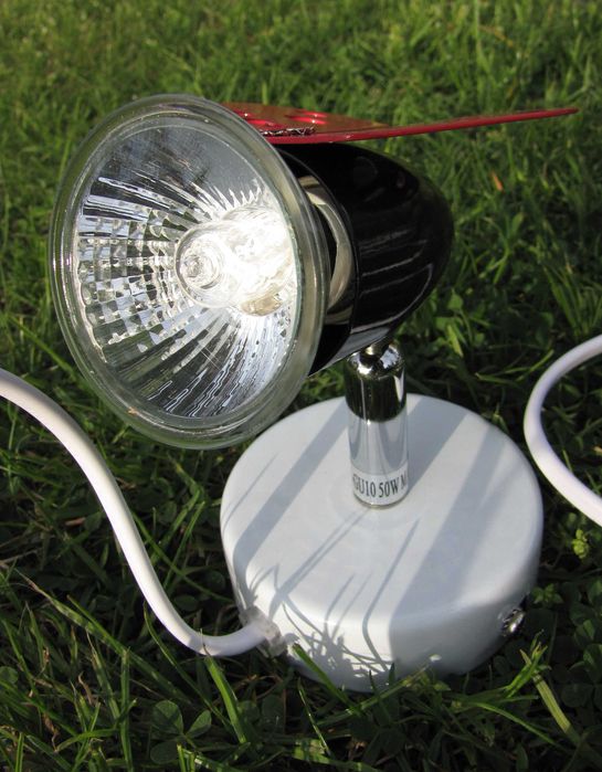 Kinkiet halogenowy Biedronka 50W