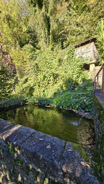 Casa de Férias no Gerês Moradia T4 Com Piscina ate 12 pessoas