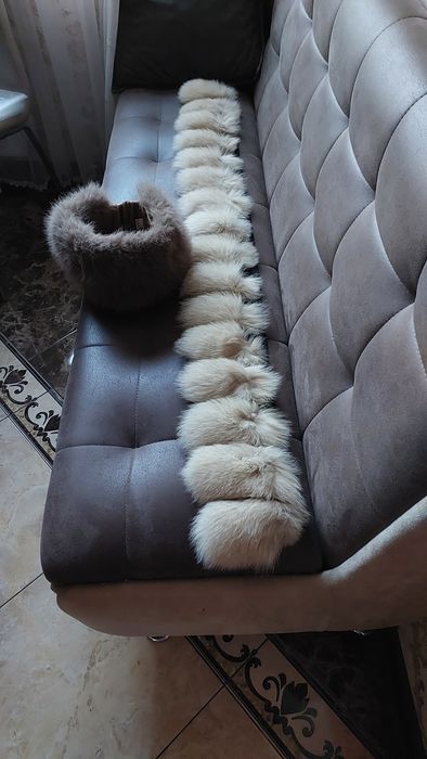 Продам песцовую повязку, мех песца.