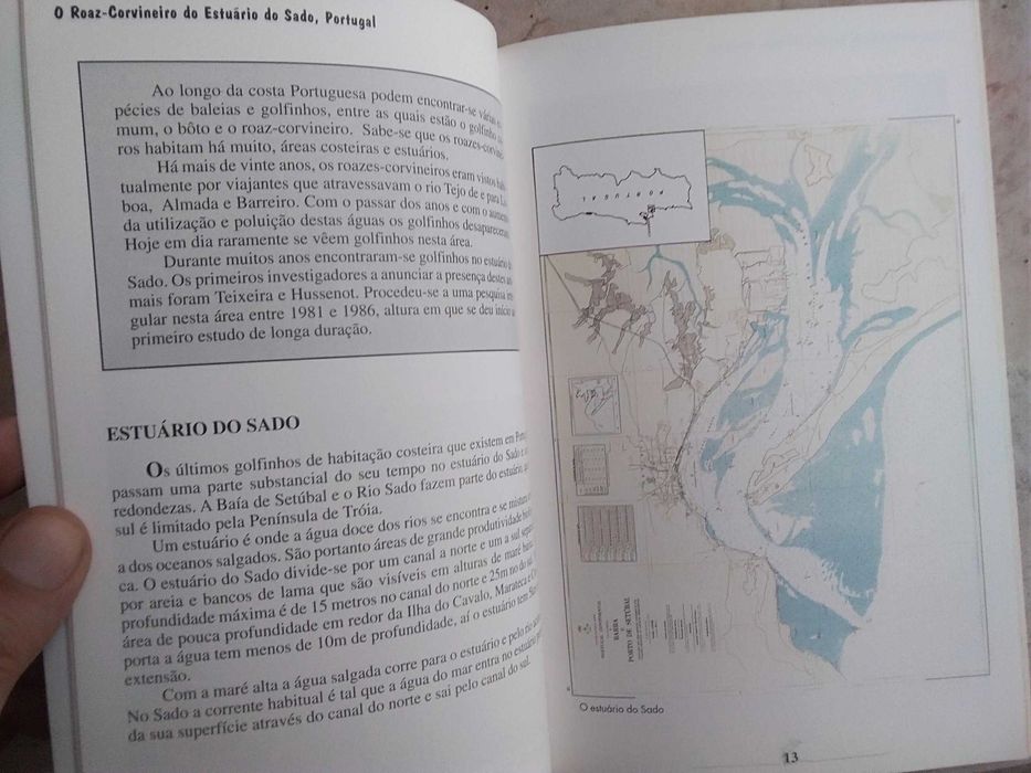 O Roaz-Corvineiro do Estuário do Sado