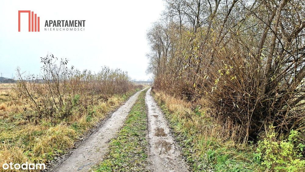 Olimpin–duża działka 1217m², media w drodze, Mpzp