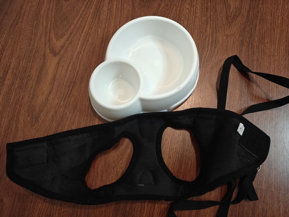 Kit Passeio e Refeição para Cão Pequeno/Gato - Peitoral + Trela + Taça